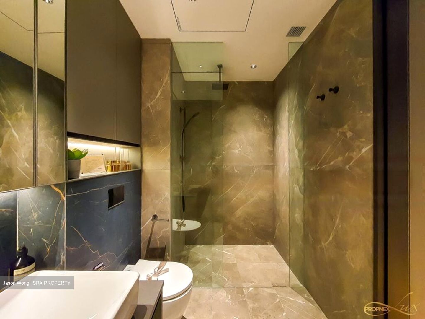Irwell Hill Residences (D9), Apartment #444897831